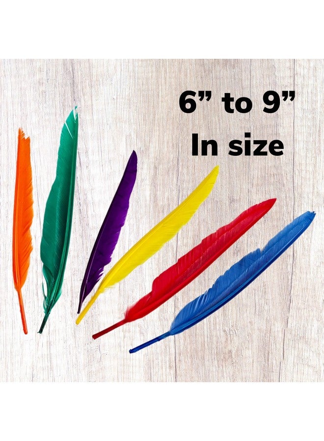 ألازكو 120 قطعة من ريش الأوز الملون، ريش طبيعي للحرف اليدوية بأحجام متنوعة من 6 إلى 9 بوصة باللون الأحمر والأصفر والأزرق والأخضر والبرتقالي والأرجواني - Image 2