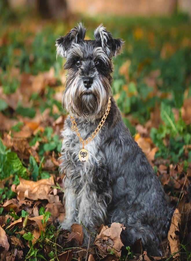 HOWWFALY Dog Collar and Cat Chain Necklace Stainless Steel Adjustable 18K Gold Heart-Shaped Necklace for Small Pets Cats Kitten Puppy (Gold, 14 inch) - Image 5