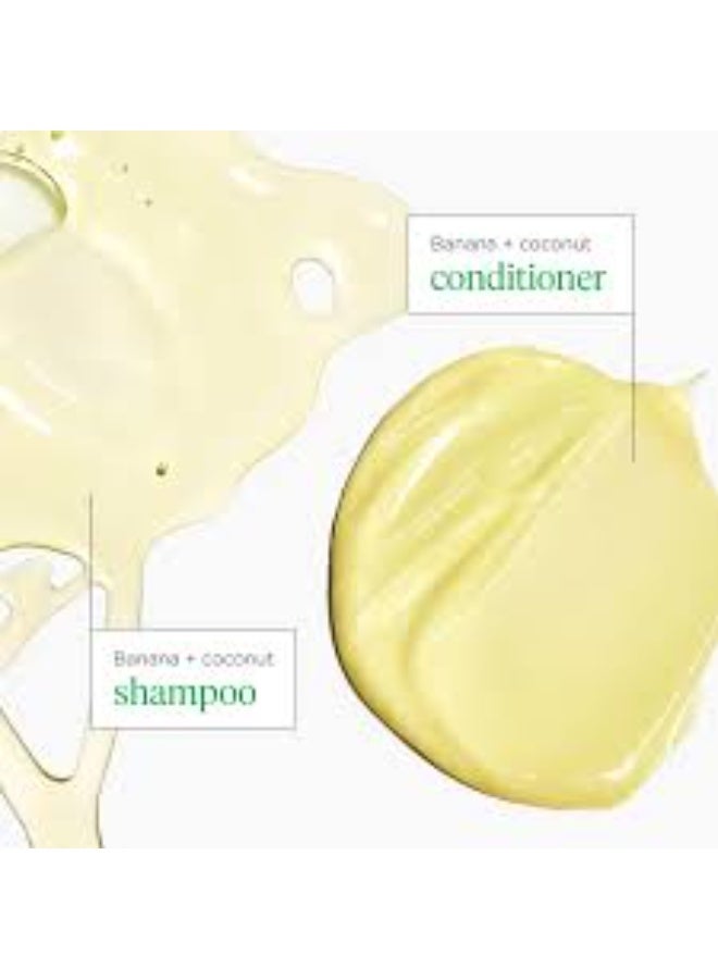 بريوجيو شامبو وبلسم بريوجيو سوبرفودز™ المغذي برائحة الموز وجوز الهند - Image 4