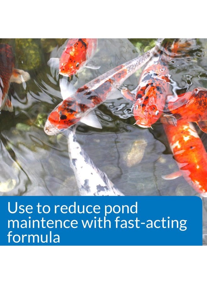 API POND SIMPLY CLEAR Pond Water Clarifier 16-Ounce Bottle (248B)  - Image 2