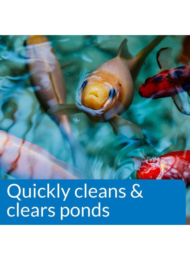 API POND SIMPLY CLEAR Pond Water Clarifier 16-Ounce Bottle (248B)  - Image 3