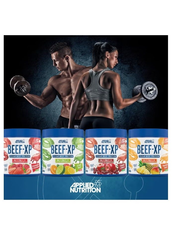 أبلايد نيوتريشن بروتين معزول من أبلايد نيوتريشن بيف إكس بي، 150 غرام - بنكهة الكشمش الأسود - Image 4