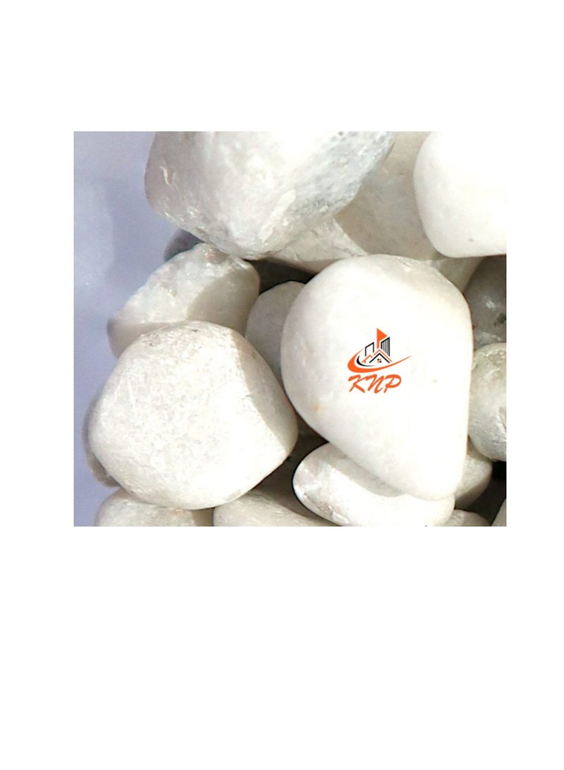 KNP White Color Decorative Painted Pebbles Aquarium 10-15mm 20 kg - Image 1