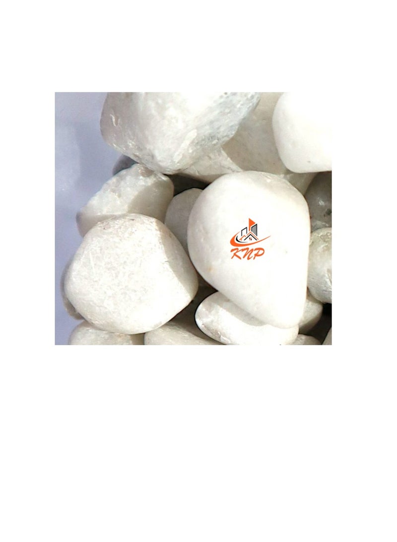 KNP White Color Decorative Painted Pebbles Aquarium 10-15mm 20 kg - Image 2