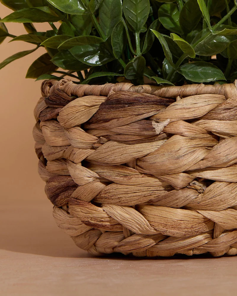 Redtag Beige Artificial Plants in Water Hyacinth Basket – 21cm