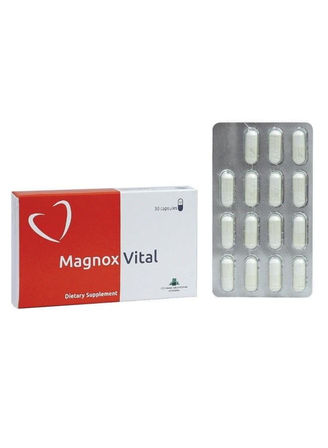 MAGNOX Vital Capsules 30'S - Image 2
