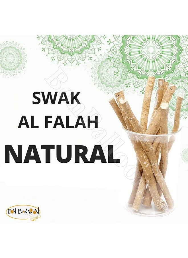 bonballoon bonballoon 30 Pcs Al Falah Siwak Meswak Miswak Arak Peelu Al Falah (Thirty Tooth Sticks) Chewing Stick with Natural Flavor Herbal Toothbrush Vacuum Sealed Breath Freshener  - Image 3