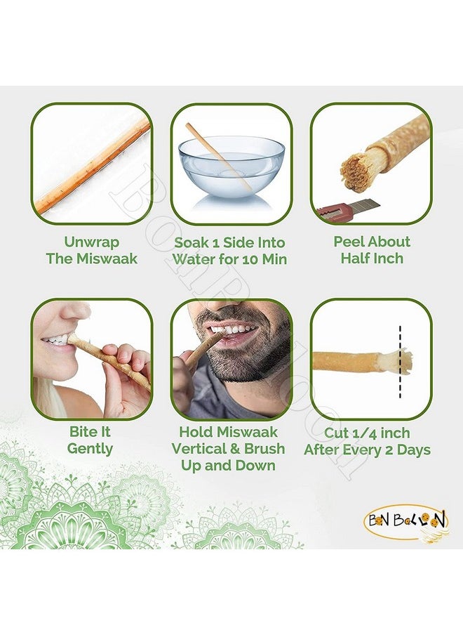 bonballoon bonballoon 30 Pcs Al Falah Siwak Meswak Miswak Arak Peelu Al Falah (Thirty Tooth Sticks) Chewing Stick with Natural Flavor Herbal Toothbrush Vacuum Sealed Breath Freshener  - Image 5