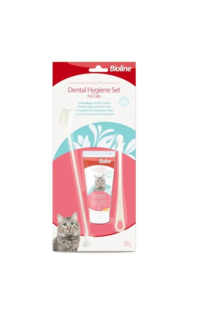 بايولاين مجموعة بيولين للعناية بصحة فم القطط 50 جم | معجون أسنان بنكهة الجبن + فرشاة | لإزالة الجير وإنعاش النفس - Image 1