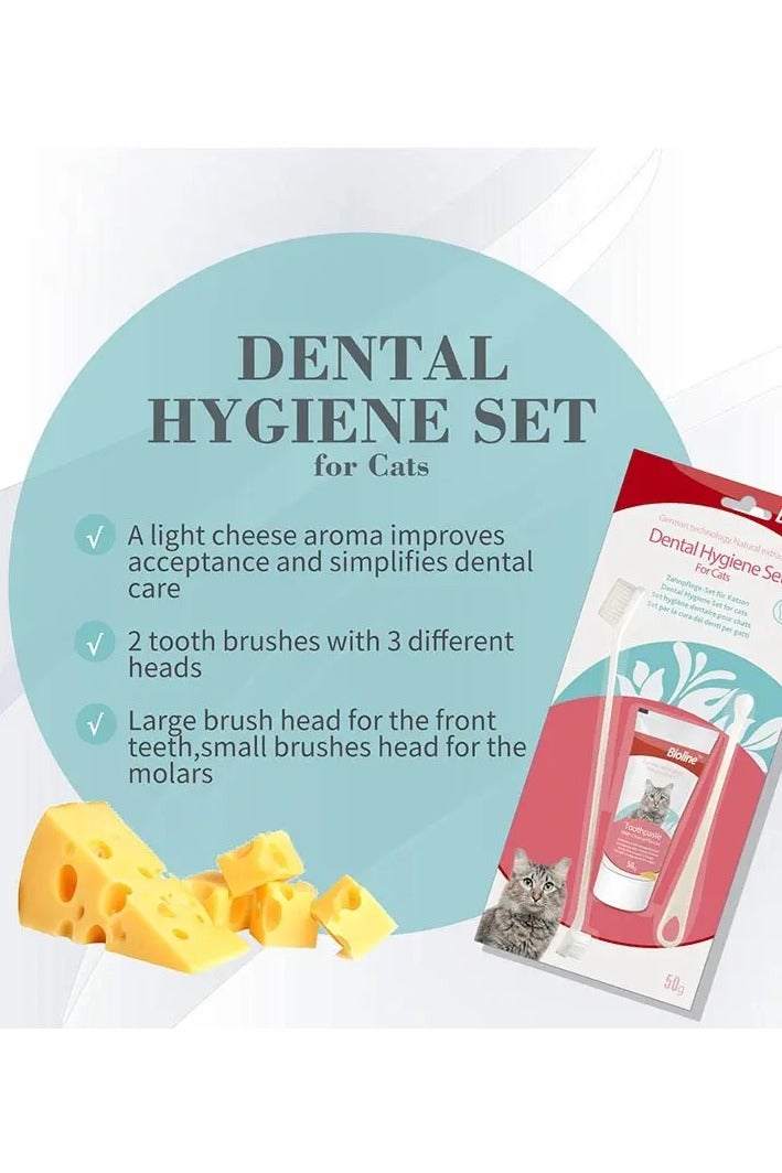 بايولاين مجموعة بيولين للعناية بصحة فم القطط 50 جم | معجون أسنان بنكهة الجبن + فرشاة | لإزالة الجير وإنعاش النفس - Image 3