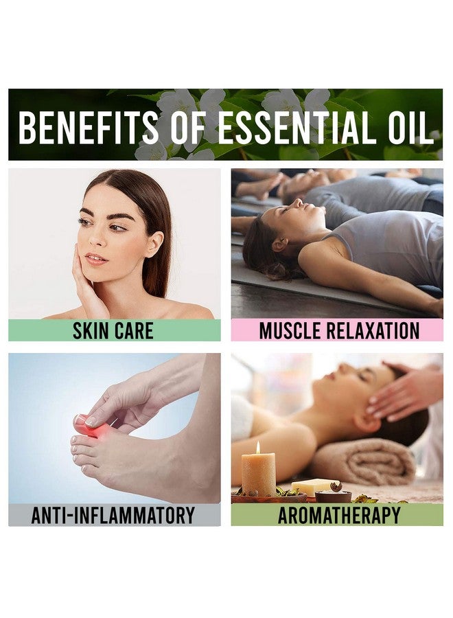 ألين إكسبورترز زيت البتولا العطري النقي بدرجة علاجية طبيعية لنمو الشعر والعناية بالبشرة والعلاج العطري (500 مل) - Image 5