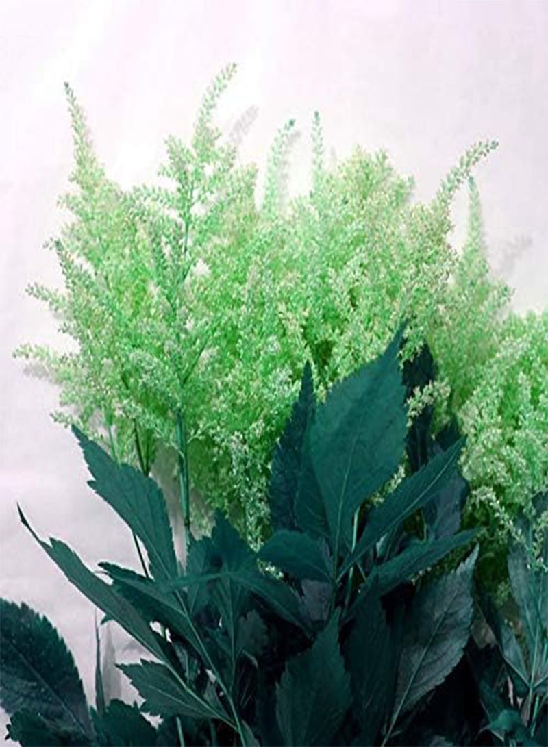 GGOOT New 100PCS Astilbe Flower Seeds for Gardening Light Pink 1 - Image 4