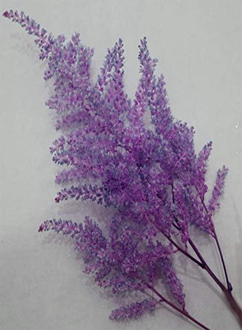 GGOOT New 100PCS Astilbe Flower Seeds for Gardening Light Pink 1 - Image 3