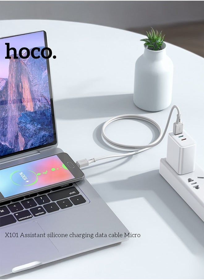 X101 Assistant, USB to Micro-USB charging data cable Grey