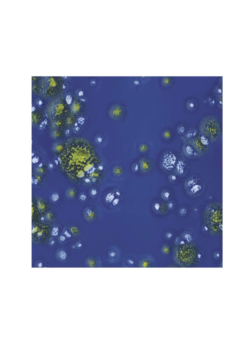 Amaco Crystaltex Glaze Moody Blue CTL-23 Low Fire Lead Free for Pottery and Ceramic - Image 2