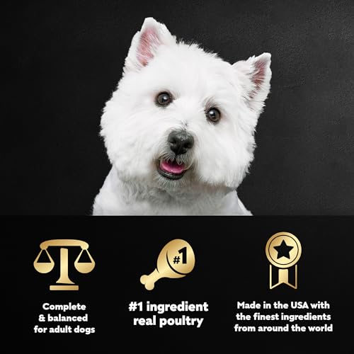 Cesar Filets in Gravy Adult Wet Dog Food, Poultry Lovers Multipack, 3.5 oz. (12 Count, Pack of 2) - Image 5