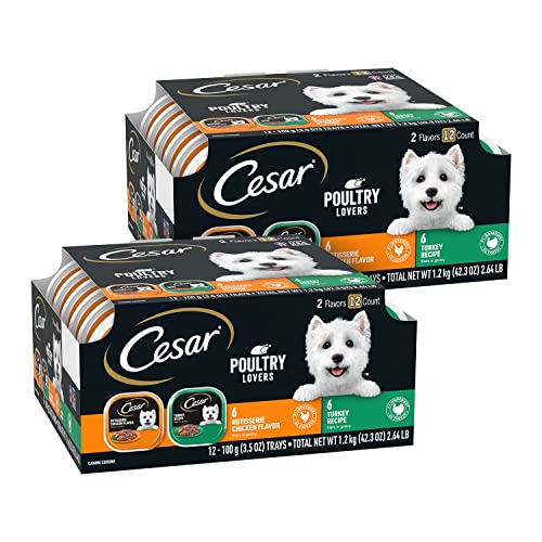 Cesar Filets in Gravy Adult Wet Dog Food, Poultry Lovers Multipack, 3.5 oz. (12 Count, Pack of 2) - Image 1