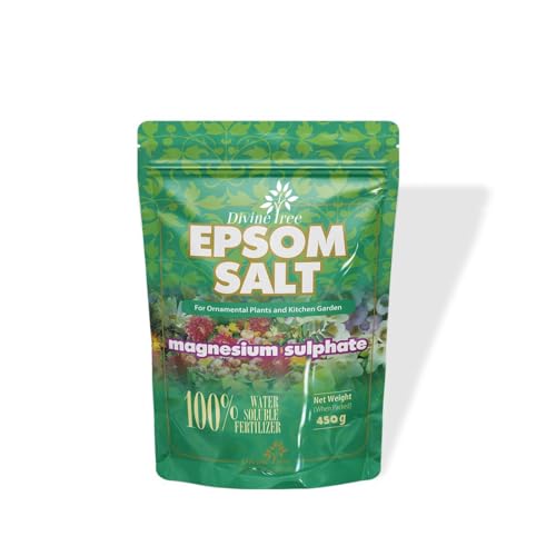 DIVINE TREE Epsom Salt for Plants | Magnesium Sulphate Fertilizer for Home Garden | Organic Plant Growth Booster & Potting Soil Mix Conditioner | Water Soluble Food for Indoor & Outdoor Plants (450gm) - Image 1
