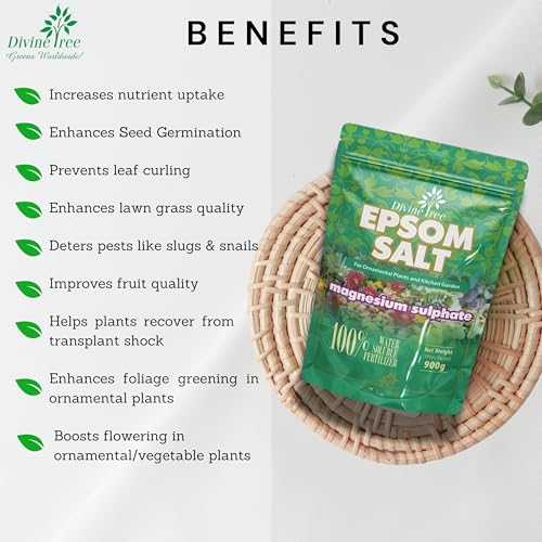 DIVINE TREE Epsom Salt for Plants | Magnesium Sulphate Fertilizer for Home Garden | Organic Plant Growth Booster & Potting Soil Mix Conditioner | Water Soluble Food for Indoor & Outdoor Plants (450gm) - Image 4