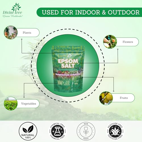 DIVINE TREE Epsom Salt for Plants | Magnesium Sulphate Fertilizer for Home Garden | Organic Plant Growth Booster & Potting Soil Mix Conditioner | Water Soluble Food for Indoor & Outdoor Plants (450gm) - Image 5
