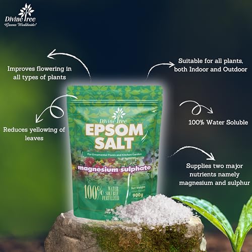 DIVINE TREE Epsom Salt for Plants | Magnesium Sulphate Fertilizer for Home Garden | Organic Plant Growth Booster & Potting Soil Mix Conditioner | Water Soluble Food for Indoor & Outdoor Plants (450gm) - Image 2