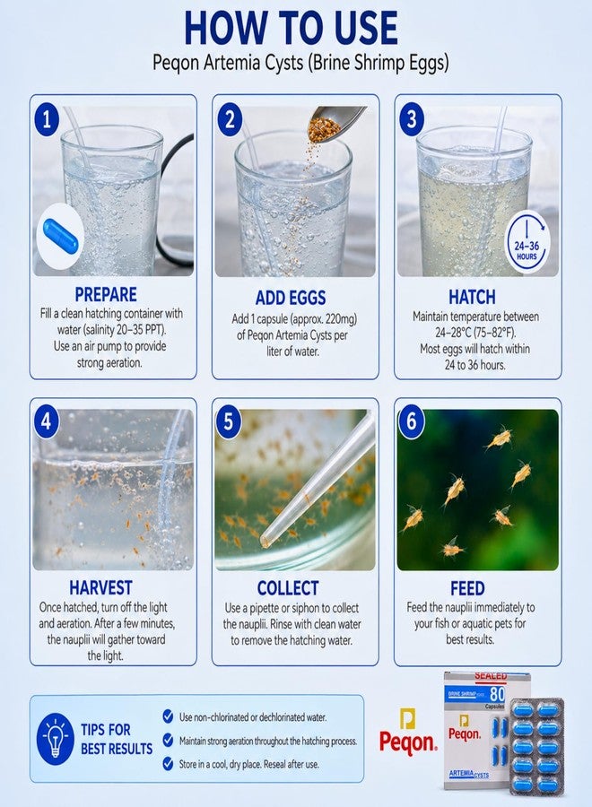 Vayinato Peqon Artemia Cysts Brine Shrimp Eggs With 90% Hatching Rate (4 Strip (40 Capsules)) By Petzlifeworld. - Image 3