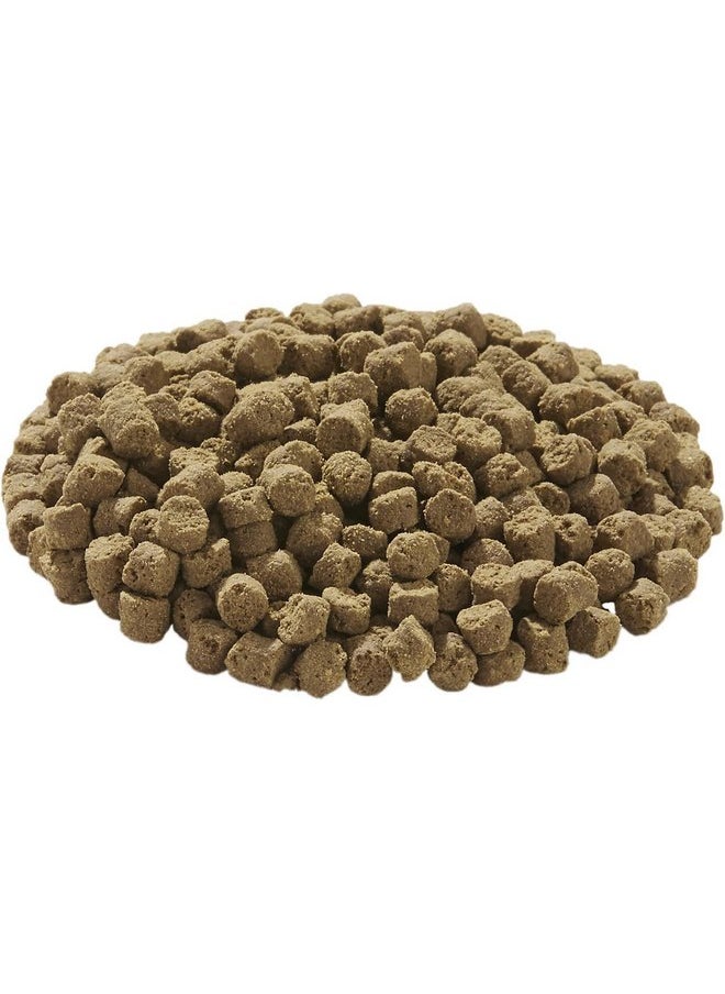 Tetra - TetraFauna Hermit Crab Cakes 1.58 Ounces, Food Pellets For All Land Crabs, 100ml (16976) - Image 1