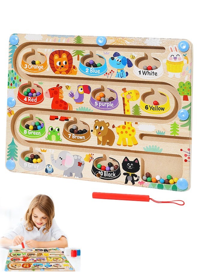 Magnetic Color and Number Maze, Educational Toys for Kids, Suitable for Home, Classroom, or Outdoor Activities  - Image 1