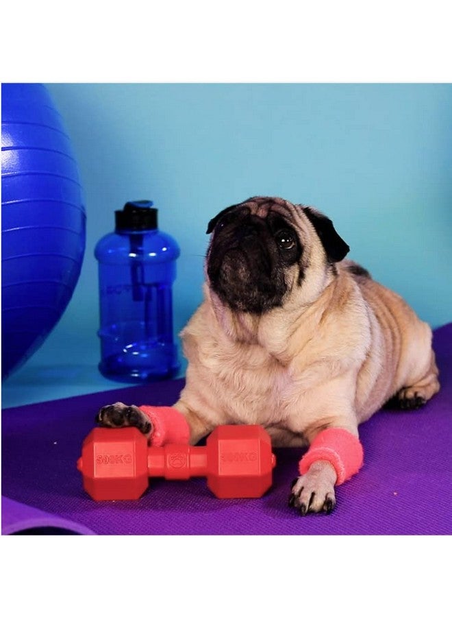 لعبة الدمبل المطاطية المقاومة للماء والمصممة لتدوم طويلاً للكلاب الأليفة - Image 2