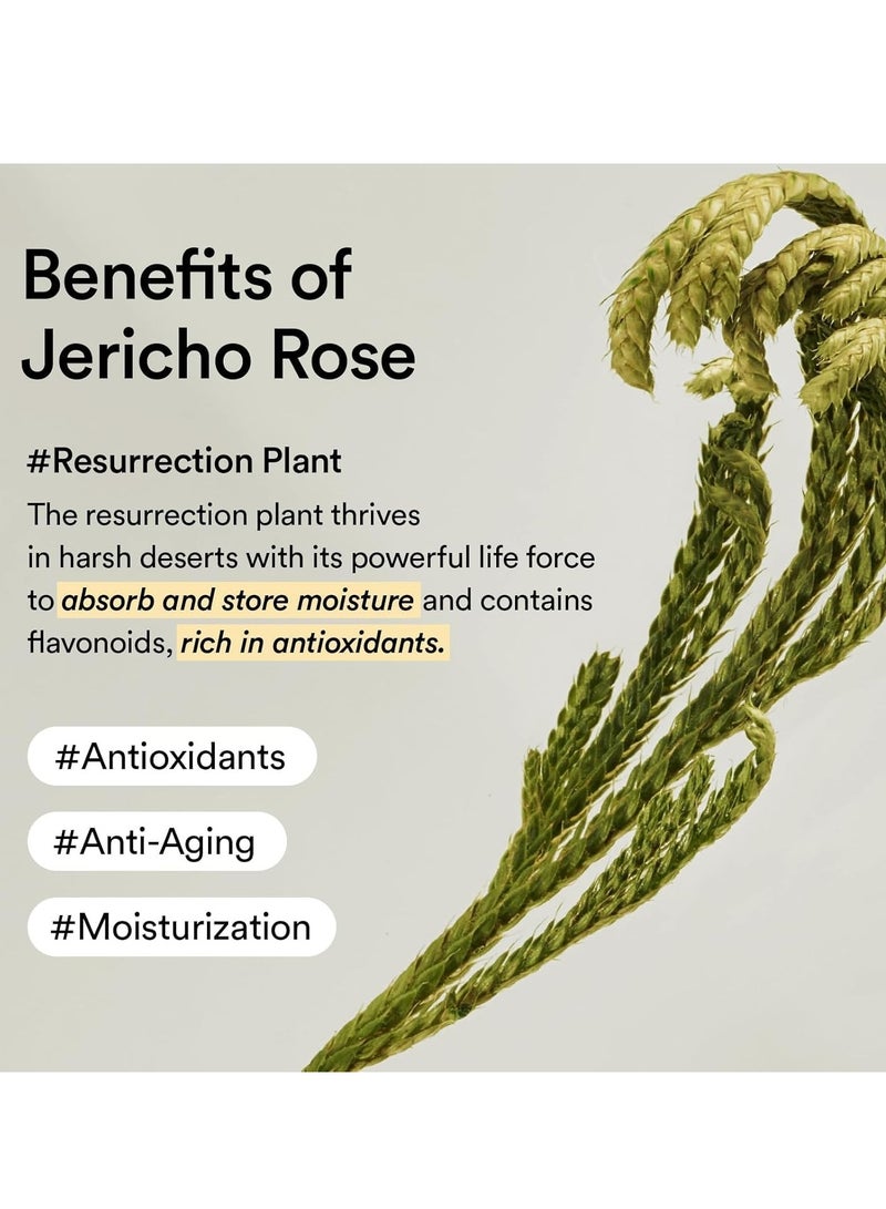abib Abib Collagen Eye Patch Jericho Rose Jelly - Image 5