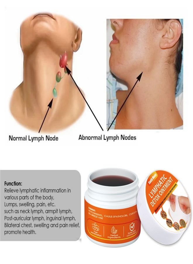 SOUTH MOON - Lymph Nodes Care Ointment, Detox Lymphatic Drainage Massage Cream Pain Relief for Neck Behind Ear Underarm Skin 30g - Image 1