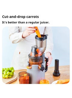 Smart Rahah Slow Masticating Juicer Extractor Easy to  Clean, High Juice Yield≥98.5%，Spiral Slow Pressure Keep the Juice Nutritious, Juice Residue Separation, Juice Extractor with Quiet Motor, Grey Color  - Image 1
