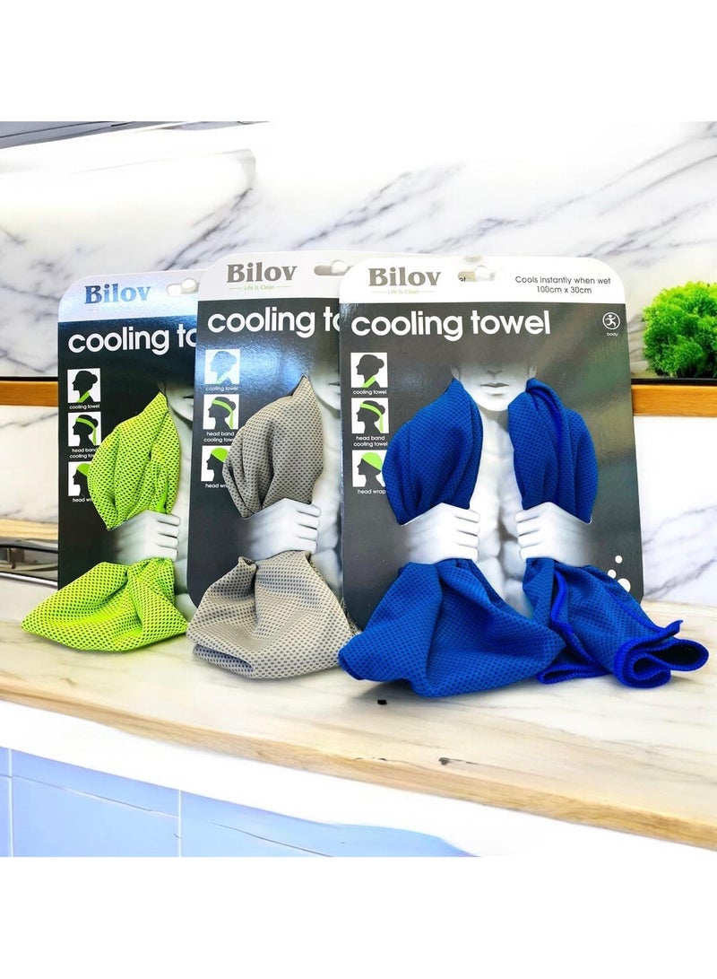 Bilov Cooling Towels, 10 Pack Ice Towel, Mesh Cooling Towel, Soft Breathable Chilly Towel, Ice Towel for Neck, Microfiber Towel, for Yoga, Golf, Sport, Running, Gym, Workout, Camping, Fitness, 100 * 30 cm - Image 1