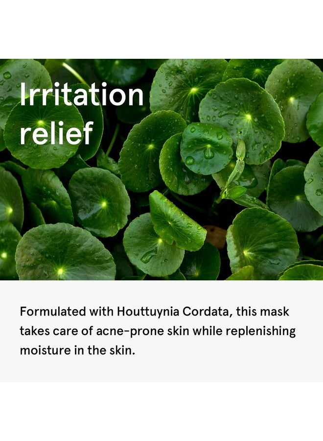 ONE THING Houttuynia Cordata Modeling Pack 0.7 Oz * 7 Masks | Facial Powder Peel Off Mask For Hydrating Cooling Soothing Acne Prone Oily Skin Redness Breakout Relief Refine Pores | Korean Face Mask - Image 4