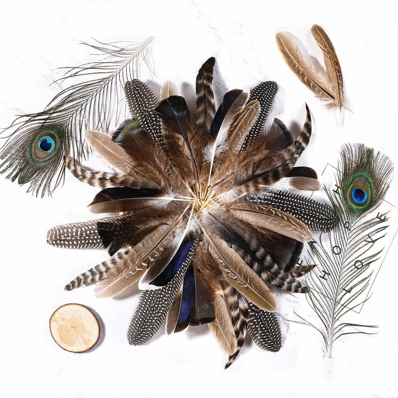 Holmgren 48pcs Natural Feathers Bulk - 6 Styles Assorted Peacock, Pheasant, Turkey Feathers for Craft DIY Jewelry Hat Wedding Home Party Decoration - Image 4
