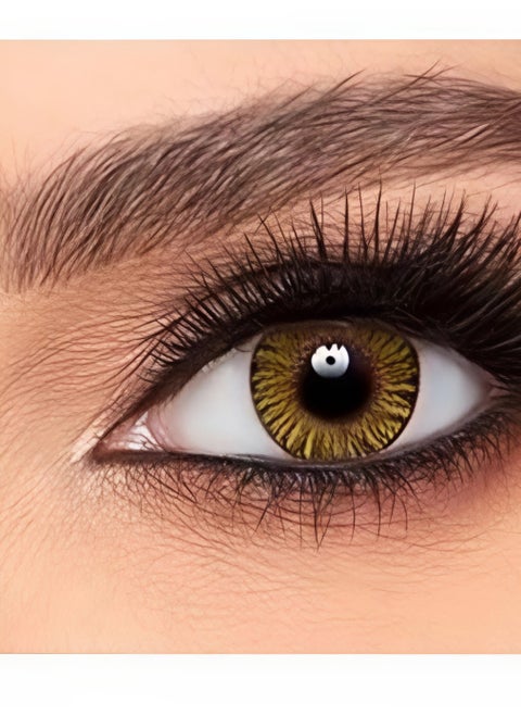 Fresh Lock one day color Lenses Played From 10pcs Attractive Hazelnut colour For Single Use Without Force Correction