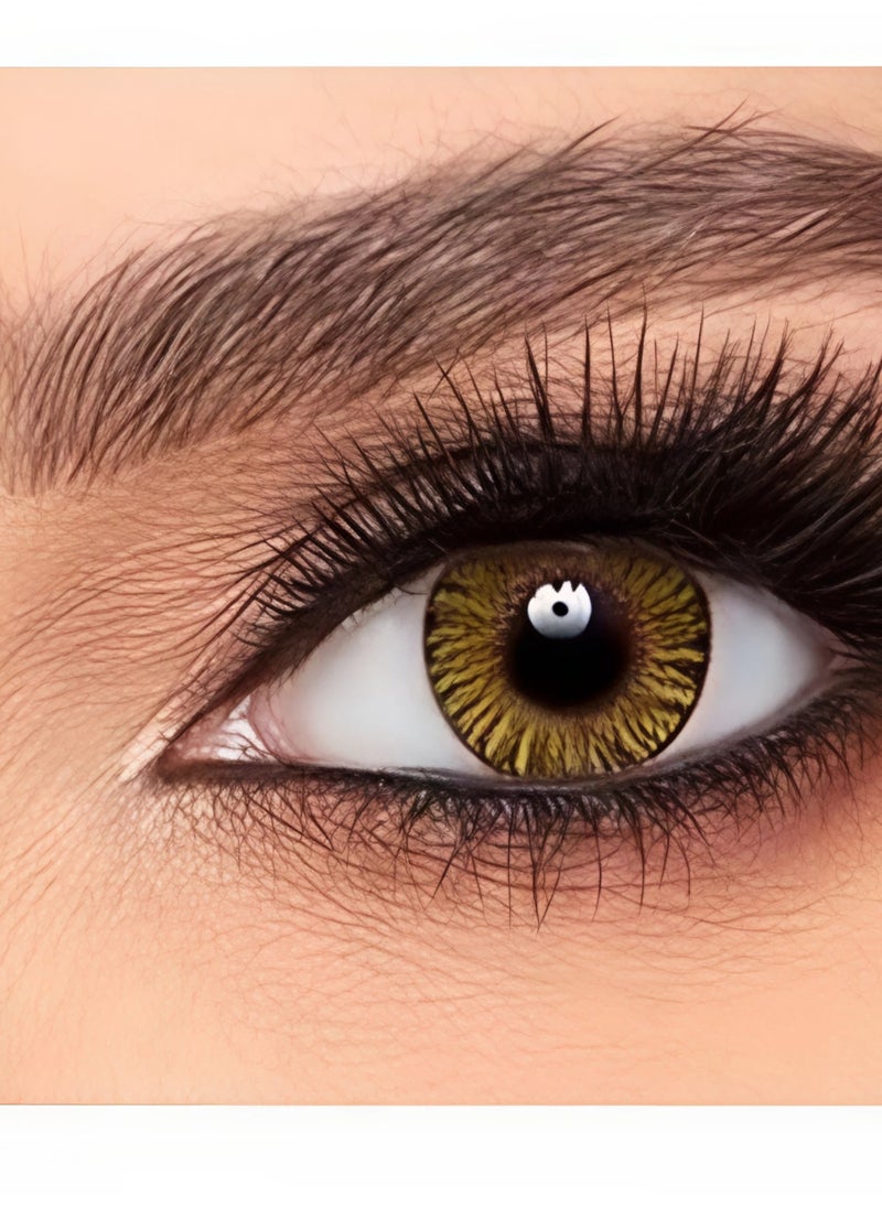Fresh Lock one day color Lenses Played From 10pcs Attractive Hazelnut colour For Single Use Without Force Correction