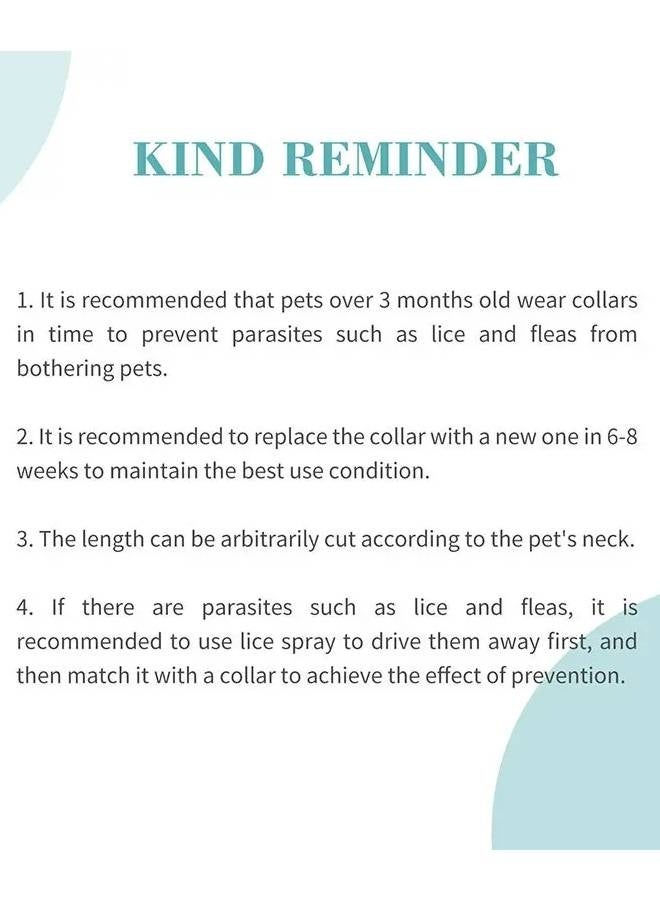 Bioline Dental Water 300ml - Image 2