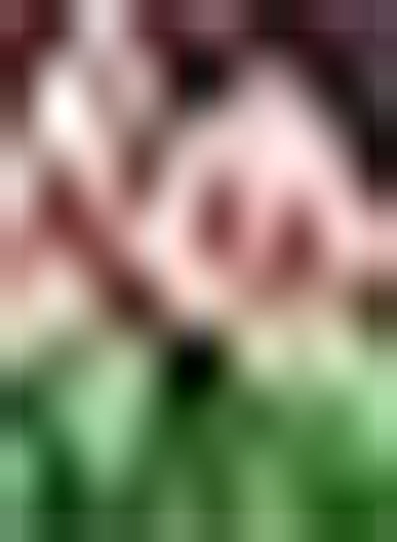 GGOOT 30pcs Red White Mixed Geranium seeds Has Aesthetic Advantages Can Make Children Like to Plant and Enjoy Hanging Basket Decoration - Image 1