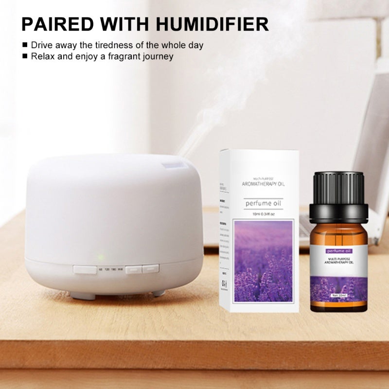 Essential Oil Gift Set - 4-Pack Natural Fragrance Lavender Peppermint Eucalyptus Sandalwood for Aromatherapy Stress Relief Humidifier Use - Image 5