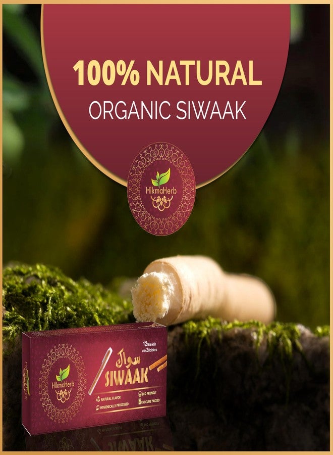HikmaHerb Pack of 12 Miswak Sticks with 2 Holders - Vacuum Sealed Natural Chewing Sticks for Teeth - Natural Flavored Toothbrush for Teeth Whitening, Oral Health, and Fresh Breath || Pack of 12… - Image 3