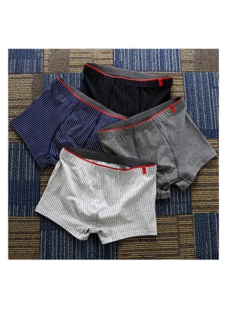 4 Pieces Mens Underwear Boxer Briefs - pzsku/Z02EE752F0A709B4D697EZ/45/1746230108/14b127dd-627e-4e23-99a8-66adc772fa0a