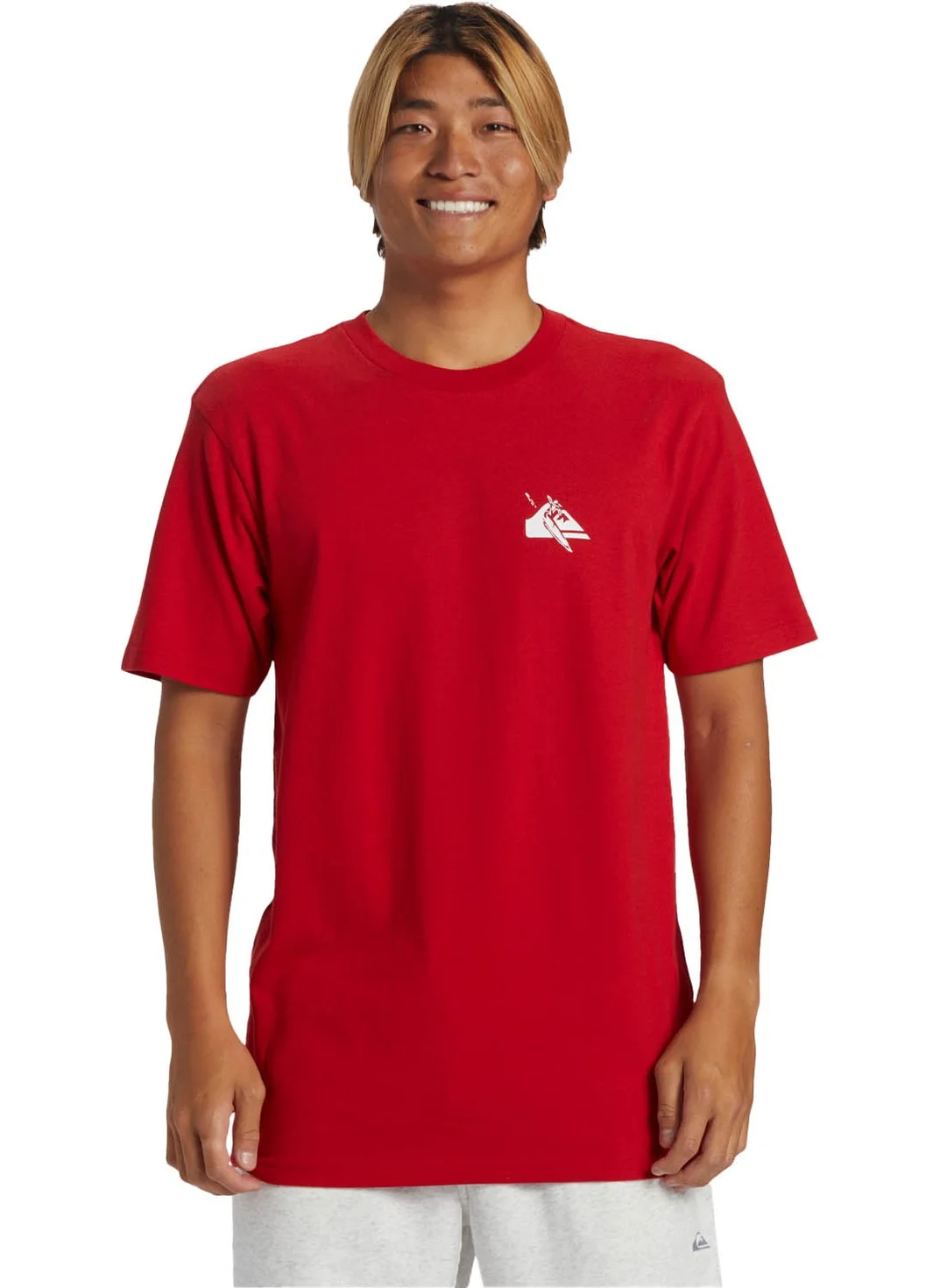 QUIKSILVER Qs Petroglyph Logo Dna