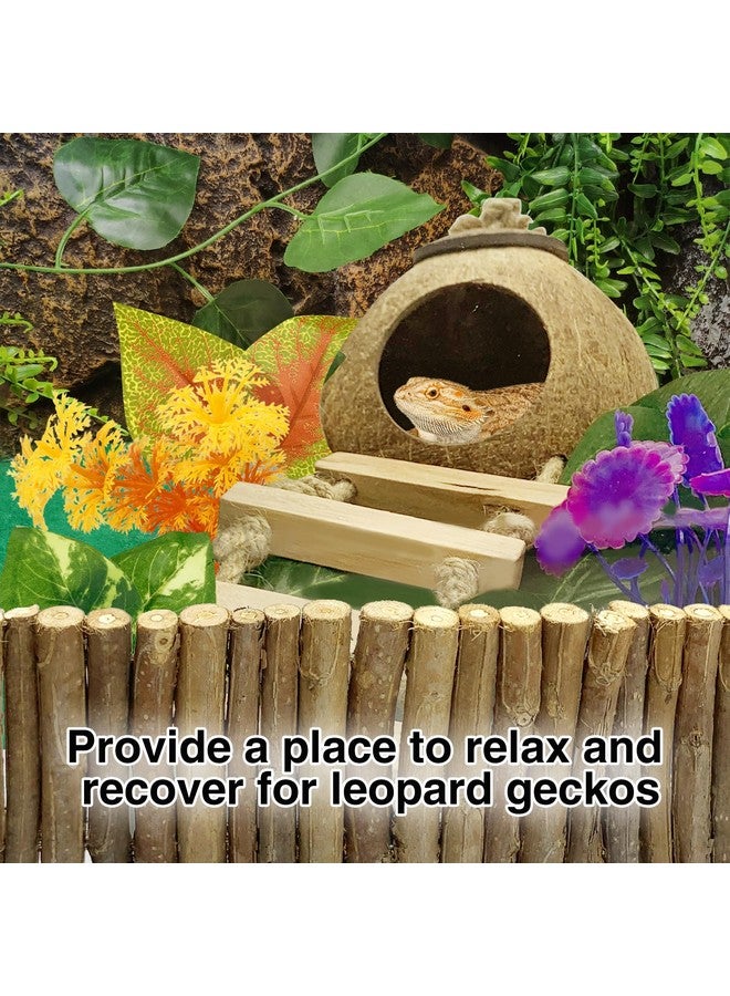 Hamiledyi Hamiledyi Leopard Gecko Tank Accessories, 10 Pcs Reptile Vines Plants with Coconut Shell Ladder Hideout Hut Hermit Crab Decor for Bearded Dragon Lizard Chameleon Tortoise Snake Play Rest - Image 2