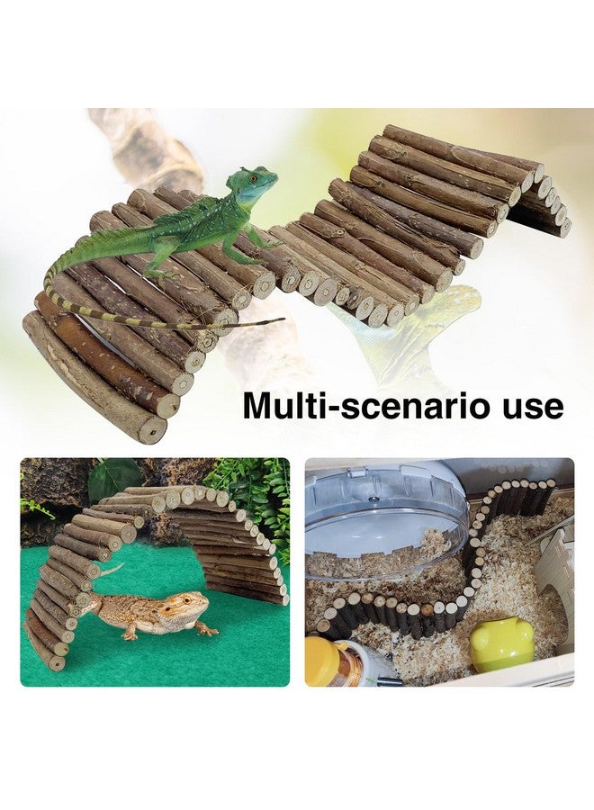 Hamiledyi Hamiledyi Leopard Gecko Tank Accessories, 10 Pcs Reptile Vines Plants with Coconut Shell Ladder Hideout Hut Hermit Crab Decor for Bearded Dragon Lizard Chameleon Tortoise Snake Play Rest - Image 4