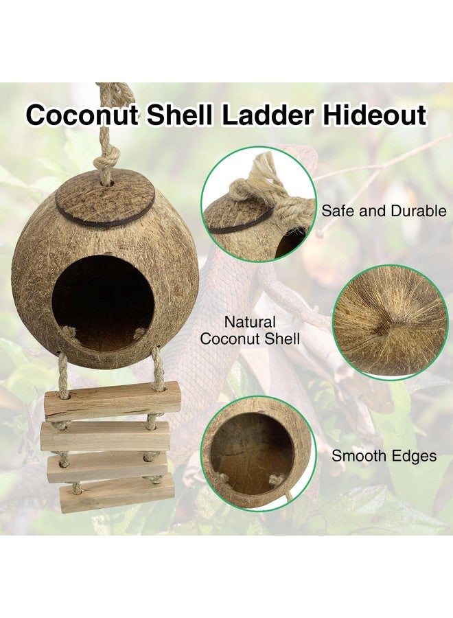 Hamiledyi Hamiledyi Leopard Gecko Tank Accessories, 10 Pcs Reptile Vines Plants with Coconut Shell Ladder Hideout Hut Hermit Crab Decor for Bearded Dragon Lizard Chameleon Tortoise Snake Play Rest - Image 3