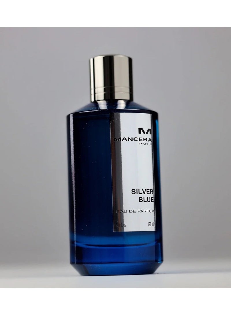 YOUMSERA Silver Blue Eau de Parfum 120 ml - Image 3