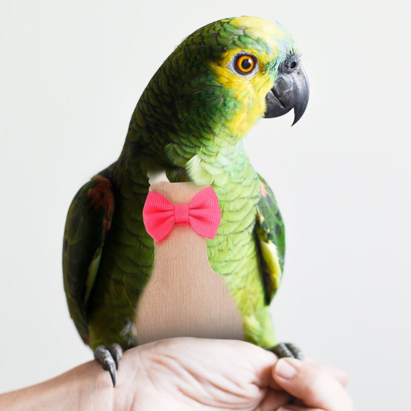 Pet Birds Flight Suit Diaper Parrot Diaper Bird Flight Clothes Diaper Parrots Nappies - Image 3