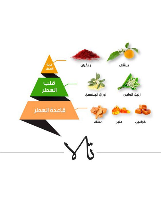  Al Majed Oud Tala Perfume - Image 4