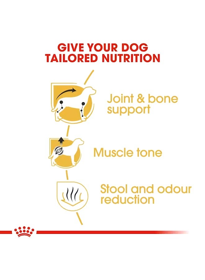 رويال كانين كلب ألماني بالغ - 1.5 كجم - Image 3